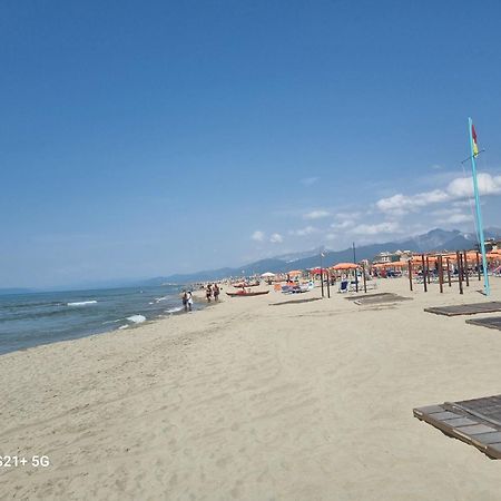 Chalet La Dolce Vita Viareggio Eksteriør billede